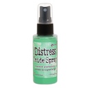 Tim Holtz Distress Oxide Spray 57ml - Cracked Pistachio