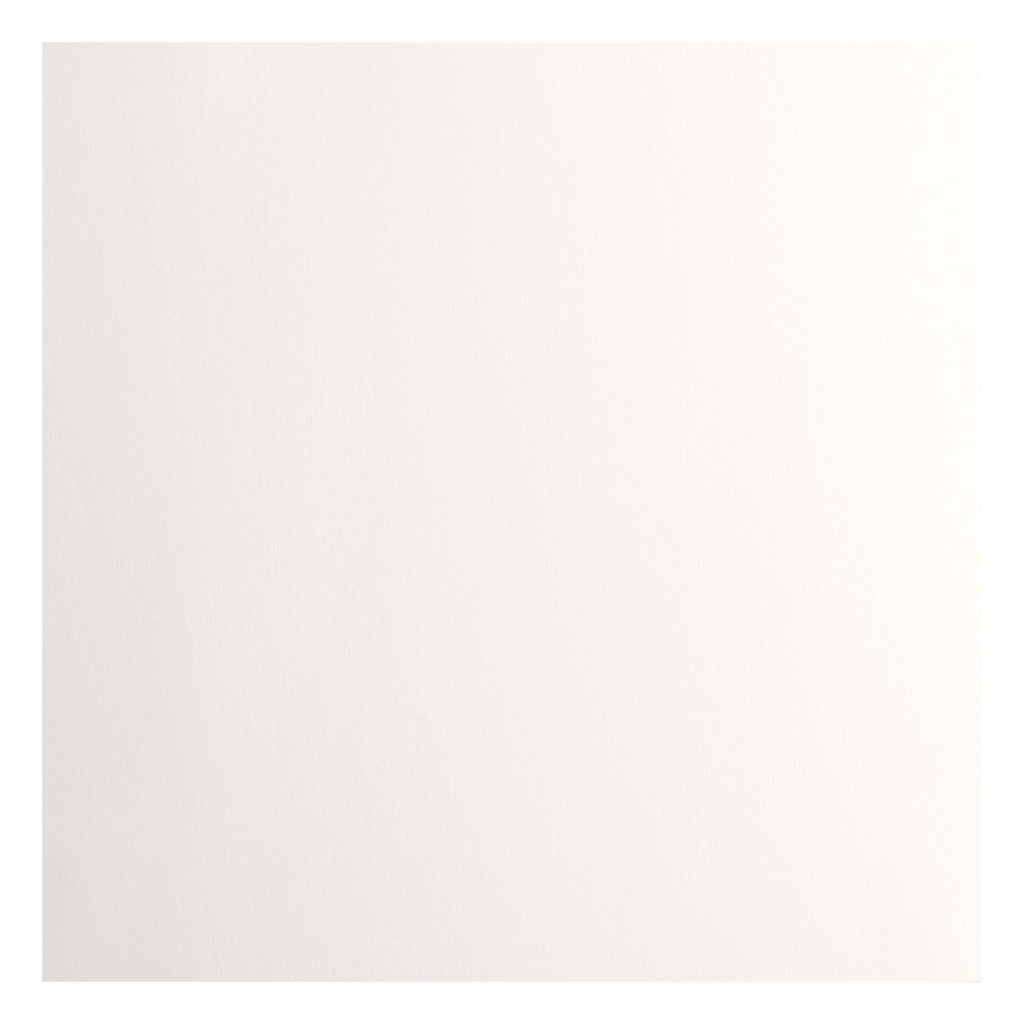 Florence Cardstock Papier 216g Glad 30,5x30,5cm Of