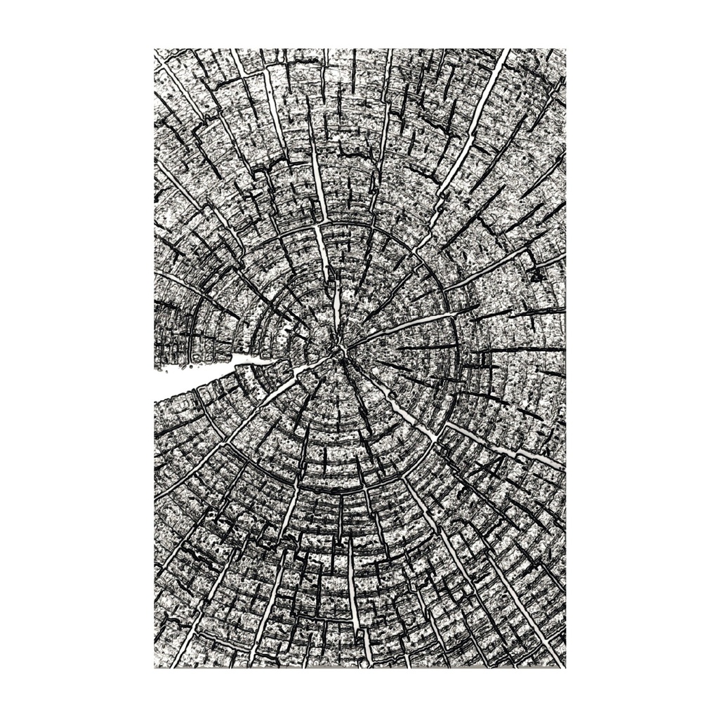 Sizzix 3D Embossing Folder A5 By Tim Holtz - 667258 Tree Rings