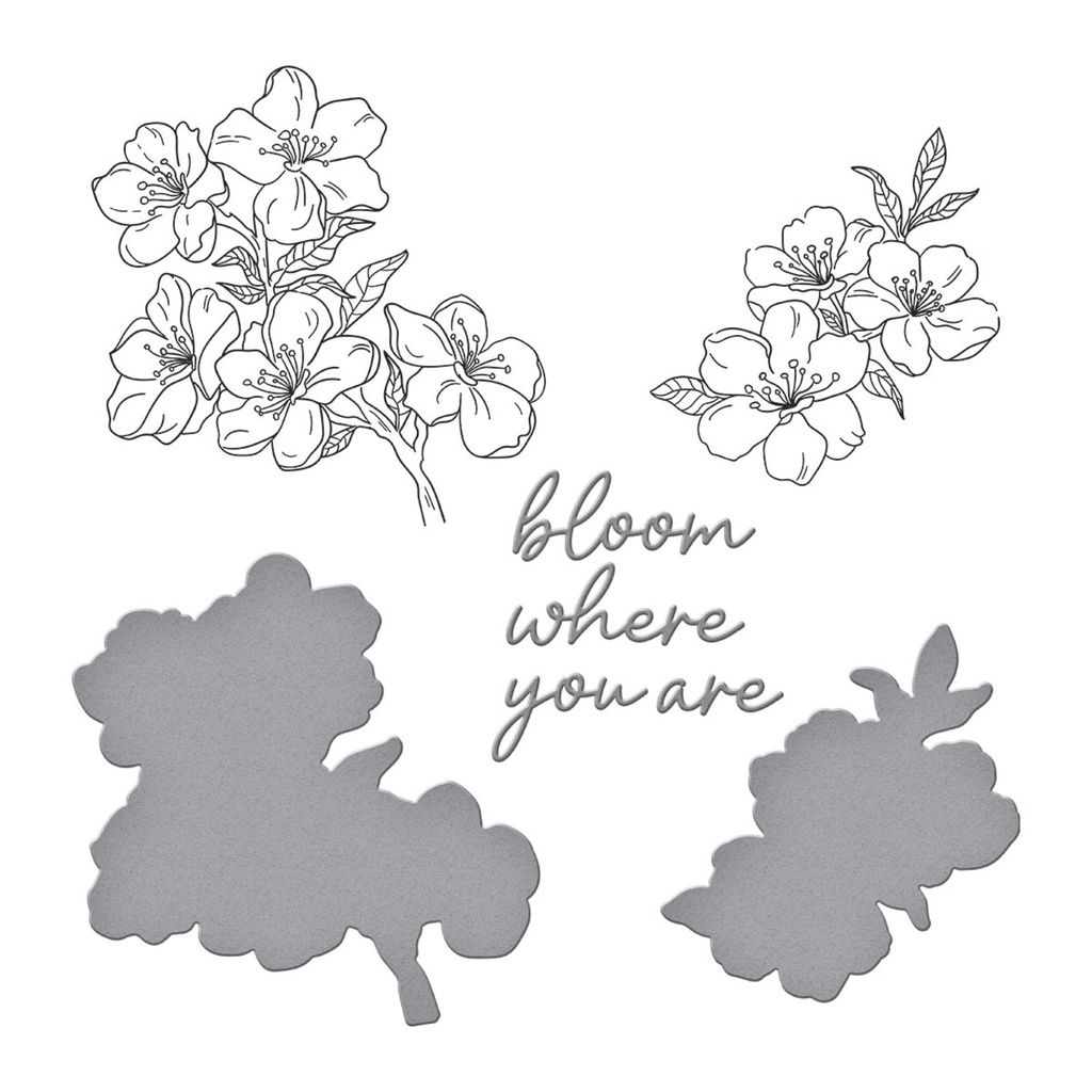 Spellbinders BetterPress Plate & Die Set Spring in Kyoto - BP-290 Cherry Blossoms