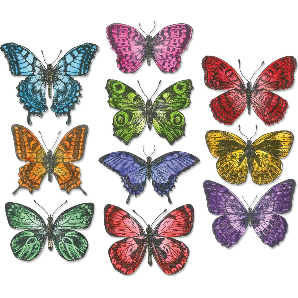 Sizzix Framelits Dies By Tim Holtz 20/Pkg - 662269 Flutter By