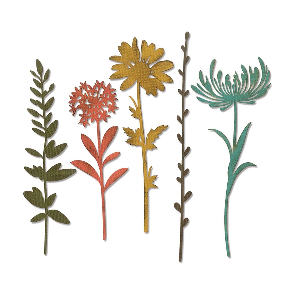 Sizzix Thinlits Dies By Tim Holtz 5/Pkg - 664163 Wildflower Stems #1