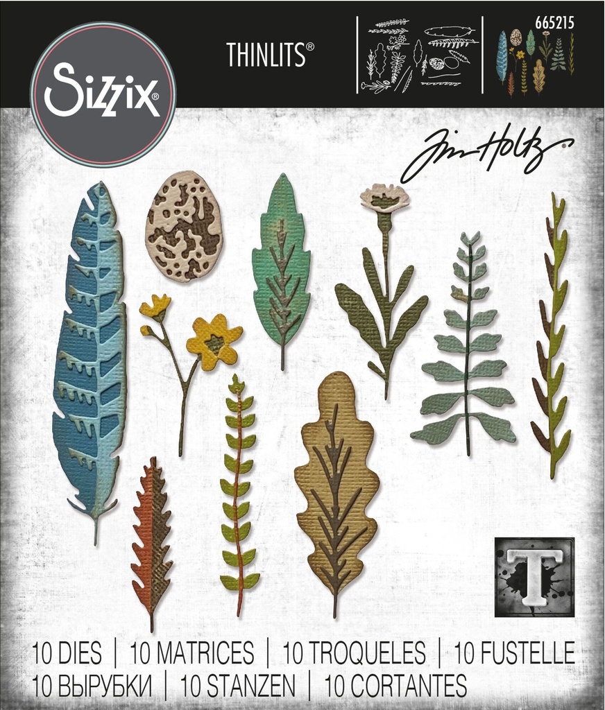 Sizzix Thinlits Dies By Tim Holtz 10/Pkg - Funky Nature