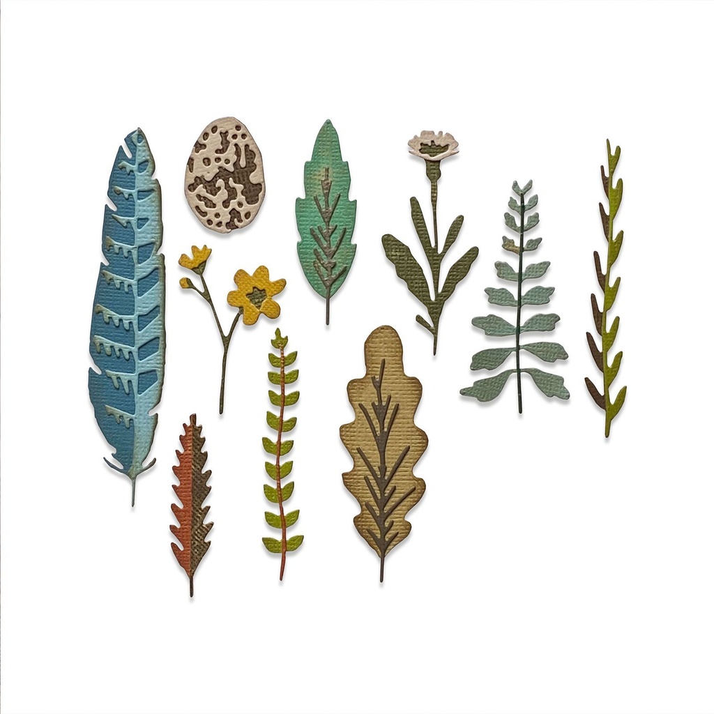 Sizzix Thinlits Dies By Tim Holtz 10/Pkg - Funky Nature