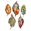 Sizzix Thinlits Dies 5/Pkg By Tim Holtz - Leaf fragments