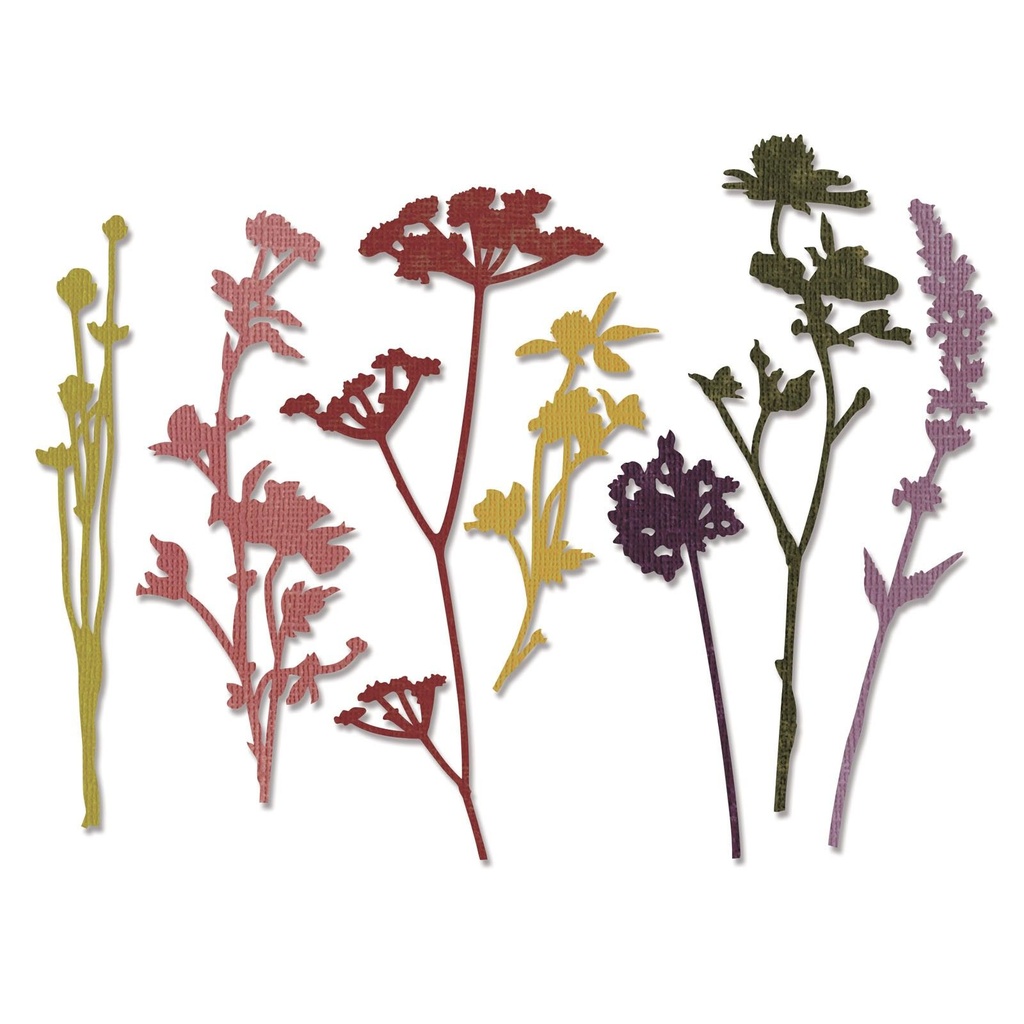 Sizzix Thinlits Dies By Tim Holtz 7/Pkg - 661190 Wildflowers