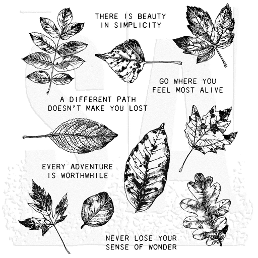 Tim Holtz Cling Stamps - CMS343 Nature's Wonder