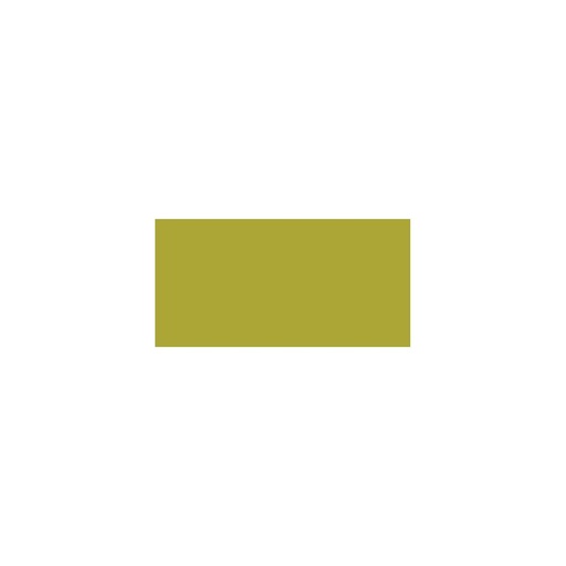 Tim Holtz Distress Paint Flip Top 29ml - Crushed Olive