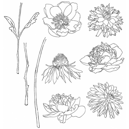 Tim Holtz Cling Stamps - CMS215 Flower Garden