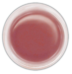 Ranger Perfect Pearls Pigment Powder .25oz - Forever Red