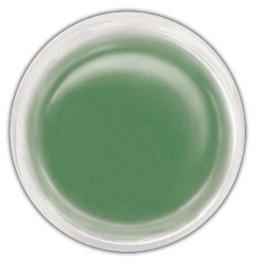 Ranger Perfect Pearls Pigment Powder - Green Patina