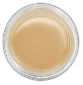 Ranger Perfect Pearls Pigment Powder .25oz - Perfect Gold