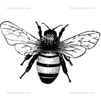 Stampotique Wood Stamp - 3000 Medium Bee w/ tiny bee