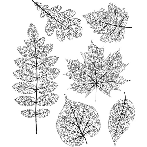 Tim Holtz Cling Stamps - CMS376 Pressed Foliage