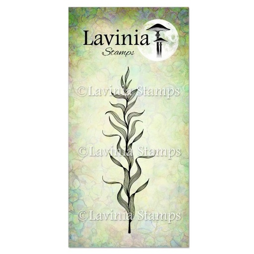 Lavinia Clear Stamps - LAV625 Marine Kelp Stamp