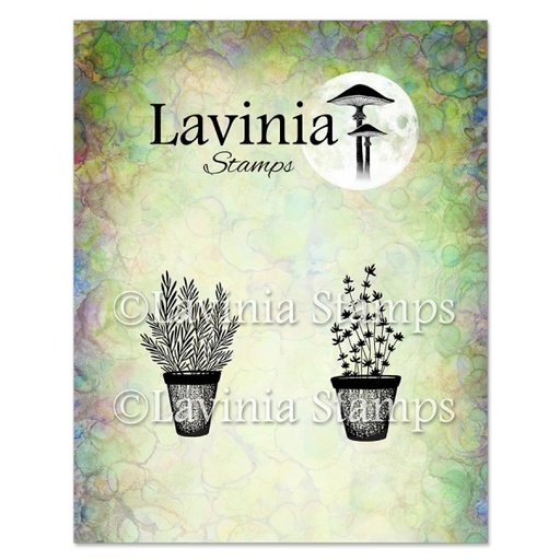 Lavinia Clear Stamps - LAV948 Rosemary & Thyme Pots