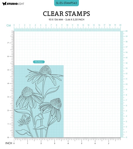 Studio Light Clear Stamps Essentials - Echinacea nr. 543