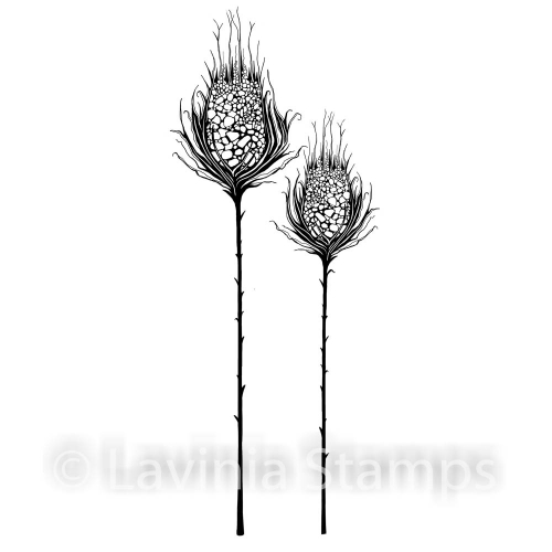 Lavinia Clear Stamps - LAV545 Star Burst Set