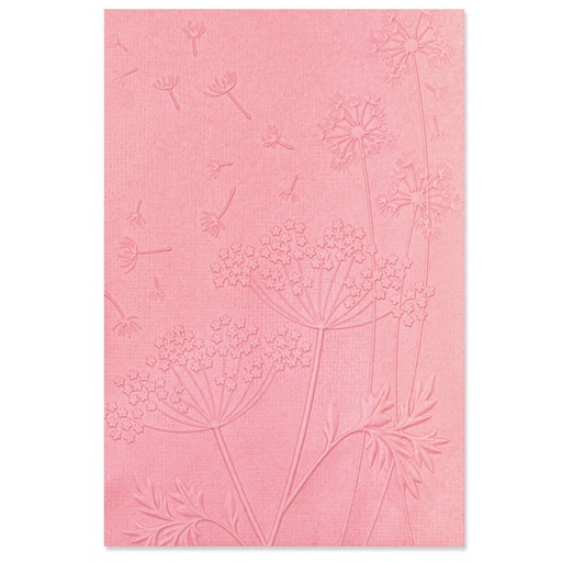 Sizzix 3-D Textured Impressions Embossing Folder By Kath Breen - Summer Wishes