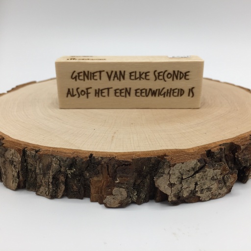 a Lut of stamps Wood Stamp - aLos083 Geniet van elke seconde alsof het een eeuwigheid is