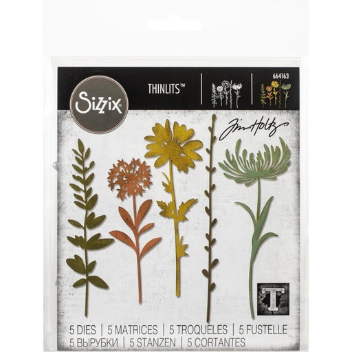 Sizzix Thinlits Dies By Tim Holtz 5/Pkg - 664163 Wildflower Stems #1