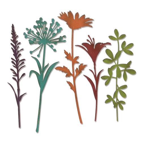 Sizzix Thinlits Dies By Tim Holtz 5/Pkg - 664164 Wildflower Stems #2