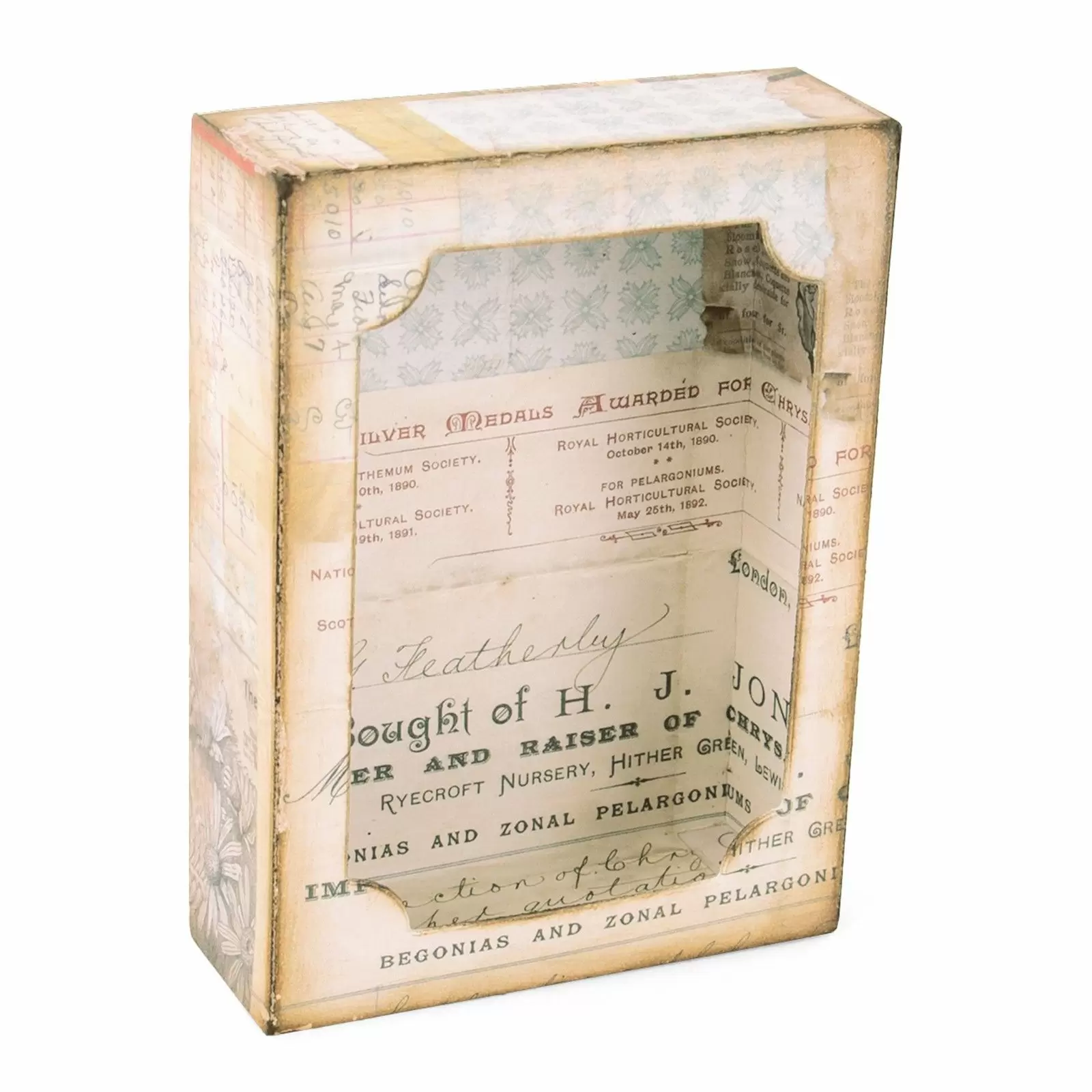 Sizzix Bigz XL Die With Framelits By Tim Holtz - Curio Box