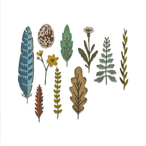 Sizzix Thinlits Dies By Tim Holtz 10/Pkg - Funky Nature